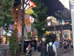 -秋叶原电器街