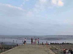 -南汇嘴观海公园