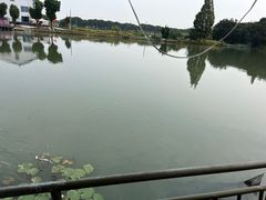 -水岸居湖景农家乐·阳澄湖大闸蟹