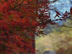 -崂山九水游览区