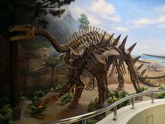 -延庆地质公园博物馆