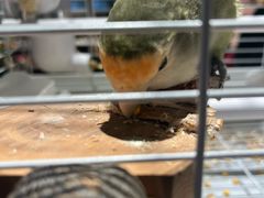 -瑞虹新天地月亮湾