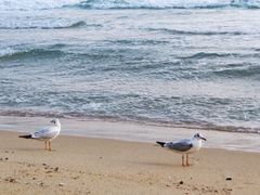 -海云台海滩