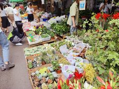 -循礼门鲜花花市(武汉循礼门店)