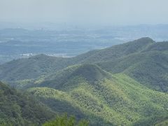 -莫干山风景区