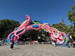 -南山植物园
