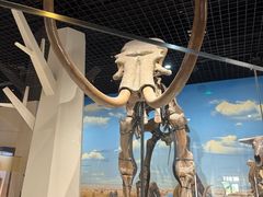 -国家自然博物馆