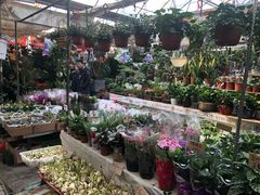 -秦美花卉(天朗·莱茵小城2期店)