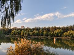 -马家湾湿地公园