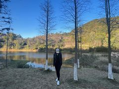 -神光山国家森林公园