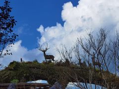 -东平国家森林公园