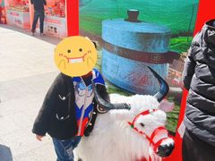 -金光华广场