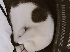 -一品格美术·中考高中成人美术培训