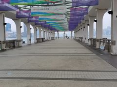 -海港城