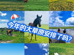 -丰宁坝上草原
