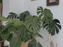 -AHAVA·Fang Baking Studio