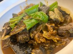 鳝筒甲鱼-莆鑫海鲜城(浏河店)