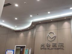 -武汉光谷医院
