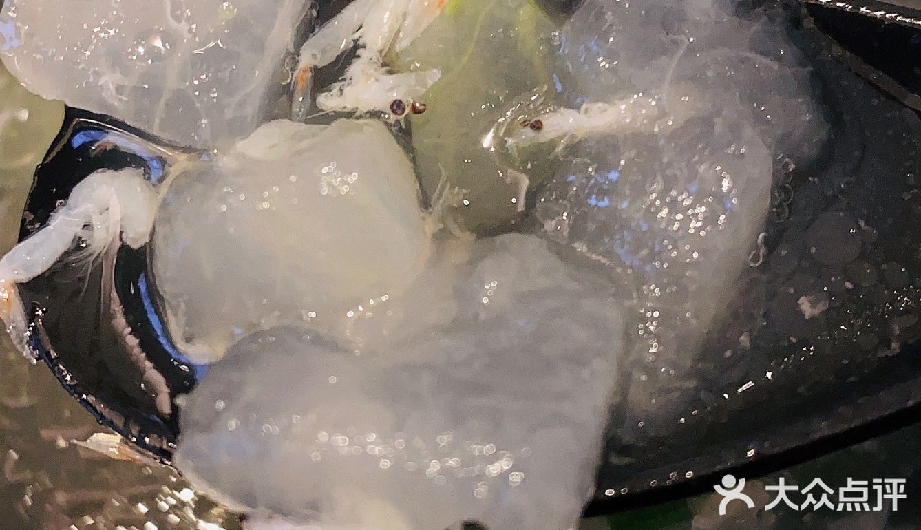 这家美食治愈了我很多个一人食的孤独moment
