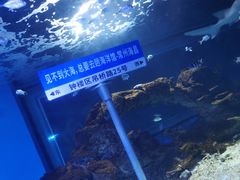-常州海昌海洋探索馆