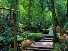 -昆明青龙峡风景区