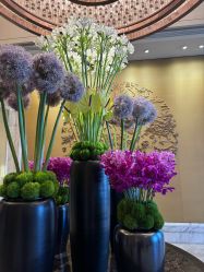 -巍阁高端月子会所