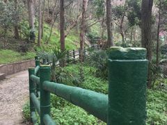 -上海佘山国家森林公园西佘山园