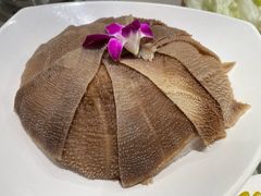 -蝎王府羊蝎子(西直门店)