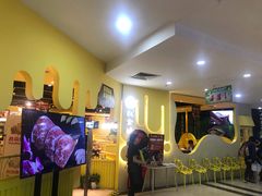 -权金城(龙旗店)