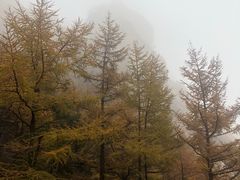 -崂山巨峰游览区