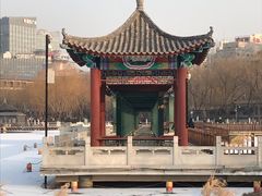 -莲花池公园