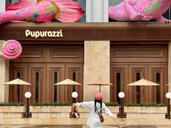 -帕帕拉兹宠物(亚洲旗舰店)