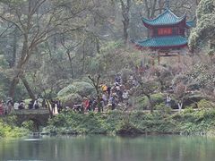 -费大厨辣椒炒肉(太平老街店)