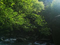 -少华山国家森林公园