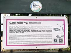 -临高角