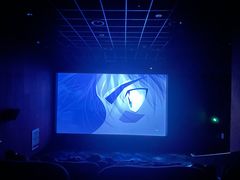 -星空影城(固安OMIS激光店)