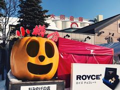 -小樽运河广场(運河プラザ)