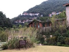 -宁海安岚·南溪阁全日餐厅