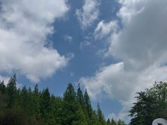 -日照海滨国家森林公园