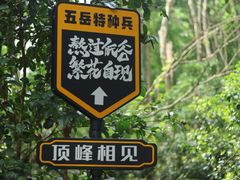 -南岳衡山风景名胜区