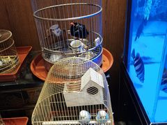 -老江南春·中国龙菜(衡山路店)
