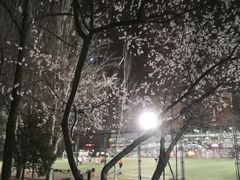 -方庄体育公园