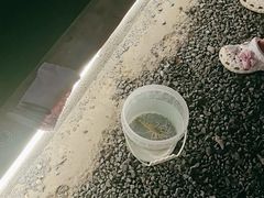-DGE季风钓虾营地·团建·聚会