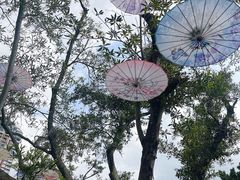 -人民公园(罗湖区)