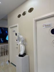 -紫洁俪方（北京）医疗美容