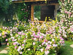 -HERRE·FARM 赫尔露营农场·团建聚会包场