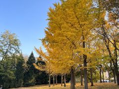 -元大都城垣遗址公园