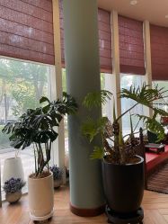 -娇玫荟SPA