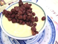 招牌双皮奶-捷信牛奶甜品世家(柳巷店)