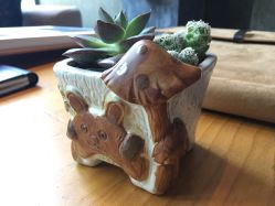 点击看大图 -THE QUEEN(北京店)